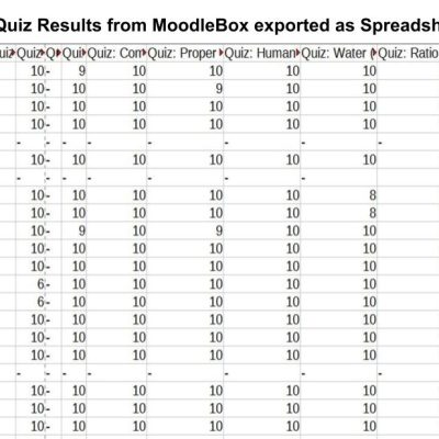 Quiz Results